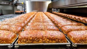 Comprehensive Guide to Bread Bakery Equipment Machines